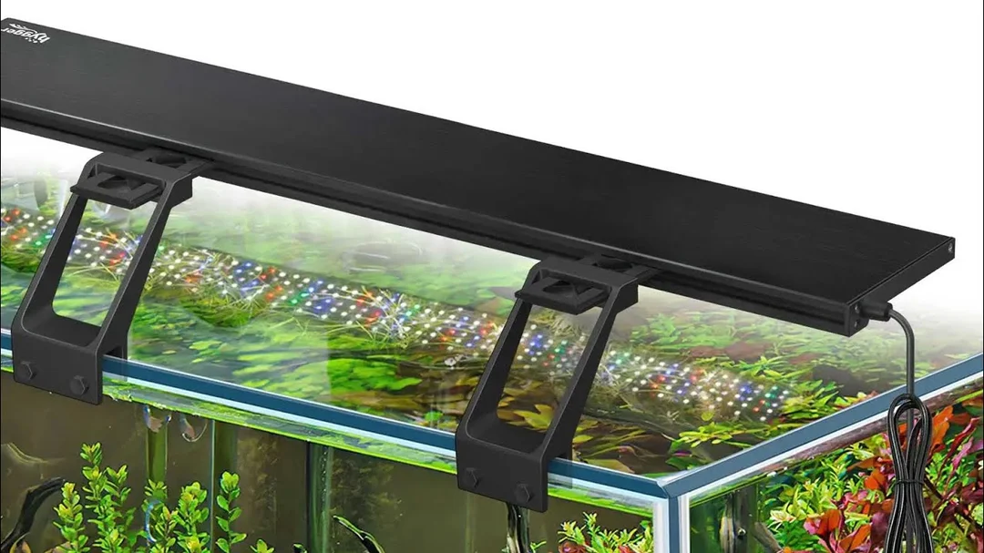 Video hướng dẫn đèn led thủy sinh WRGB hẹn giờ thông minh