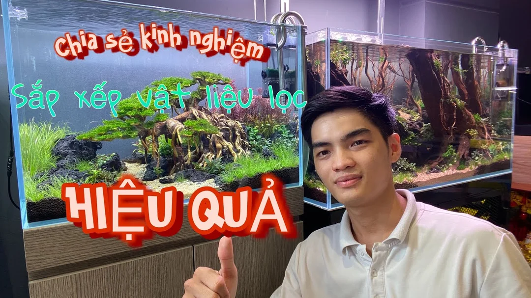 Video hướng dẫn sắp xếp vật liệu lọc hồ cá