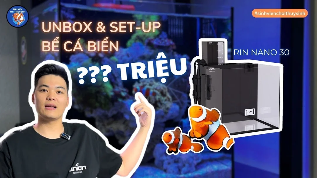 Video hướng dẫn setup bể cá nước mặn nano