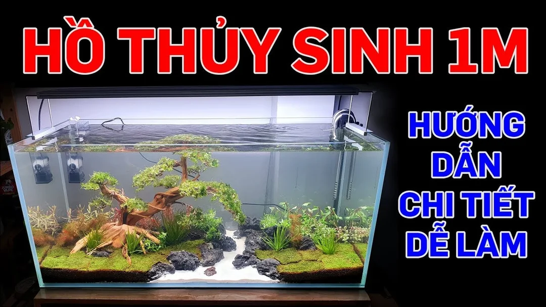 Video hướng dẫn setup hồ thủy sinh 1m trên chân bể cá