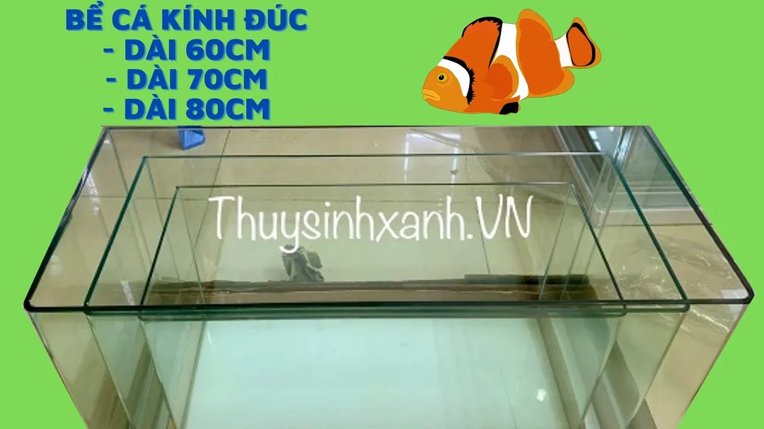 Video hướng dẫn tham khảo bể cá đúc 60 70 80 cm